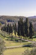 Top Pistoia