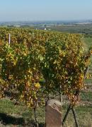 Top Schweigen-Rechtenbach