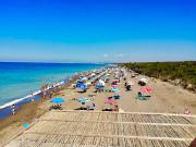 Top Marina di Bibbona