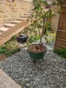 Top Sarlat-la-Canéda