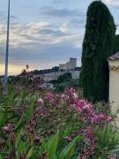 Top Châteauneuf-du-Pape