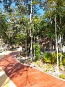 Top Playa del Carmen