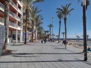 Top Torrevieja