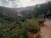 Cortijo Vacas Gordas Villas