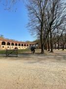 Top Druento Top Druento