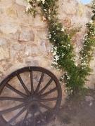 Top Les Arcs sur Argens