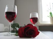 Top Gdynia Top Gdynia