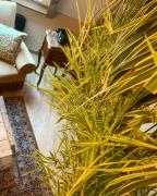 Top Fessenheim-le-Bas