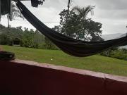 Finca cafetera el coral 2