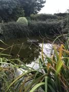 Top Minihy-Tréguier