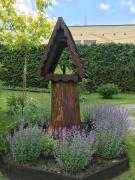 Top Ustrzyki Dolne Top Ustrzyki Dolne