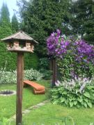 Top Ustrzyki Dolne Top Ustrzyki Dolne