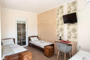 Top Zrenjanin