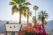 Top Palm Springs