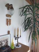 Top Gołkowice Górne