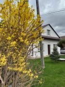 Top Gołkowice Górne