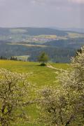 Top Titisee-Neustadt