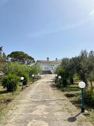 Top Káto Alepokhórion