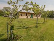 Down the Rabbit Hole