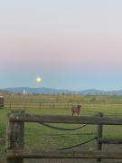 Top Villeneuve-lès-Cerfs