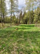 Top Ulricehamn Top Ulricehamn