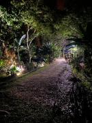 Bongalow Villa Sarchi