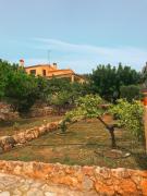 Top Castellón de la Plana