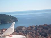 Top Dubrovnik