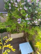 La Glycine Hypercentre et tout confort