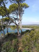 Top Hyères Top Hyères