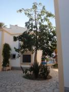 Urbanizacion Vera Costa, Vera