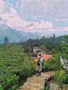 White Monkey Dias Rest