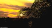 Top Auroville