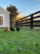 Farm Stay HARMONY Cottage at Wilindi Estate