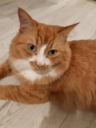 Top Vilnius Top Vilnius