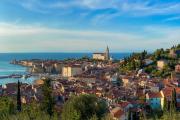 Top Piran