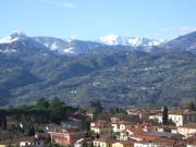 Top Barga