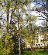 Top Pszczyna Top Pszczyna