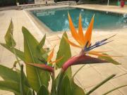 Top Le Cannet-des-Maures