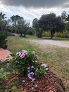 Top Le Cannet-des-Maures