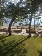 Top Kókkinon Nerón