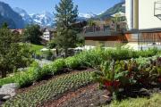 Top Wengen