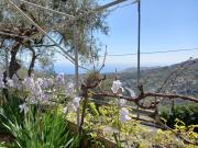 Top Sanremo