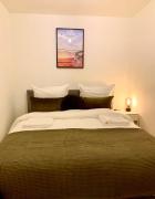 Wilde Moeflon, geniet van de vrije natuur!