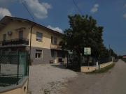 Top Altedo Top Altedo