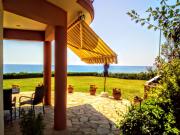 Top Maronia Top Maronia