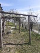 Top Monforte dʼAlba