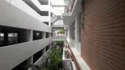 Top Miri