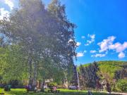 Top Soko Banja