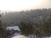 Top Shimla